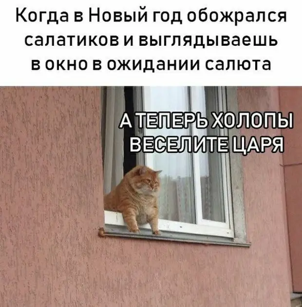 У директора заправки дети 92, 95 и 98 года рождения У директора заправки дети 92, 95 и 98 года рождения мужик, кармана, всегда, достает, спрашивает, заказывает, заказ, глядя, приносит, деньги, сколько, сумму, официант, компания, оказался, джиннИ, лампу, нашел, первым, желанием