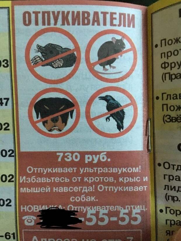 Смешные ошибки в реальной жизни и социальных сетях