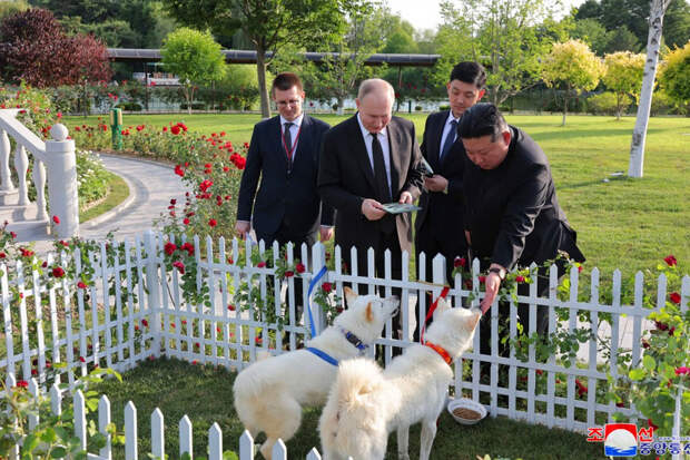 Песков: Путин еще не дал клички собакам, которых получил от Ким Чен Ына