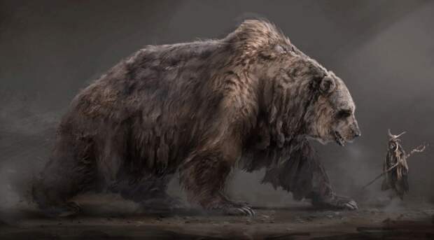 Предки современного человека использовали шкуры медведей ещё 300 000 тысяч лет назад