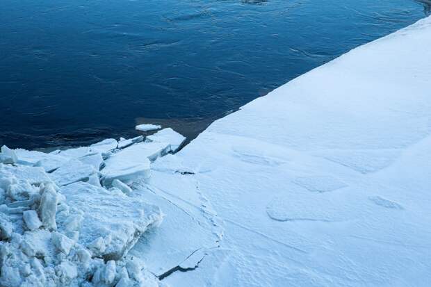 Женщина в попытках спасти собаку провалилась под лед Москвы-реки