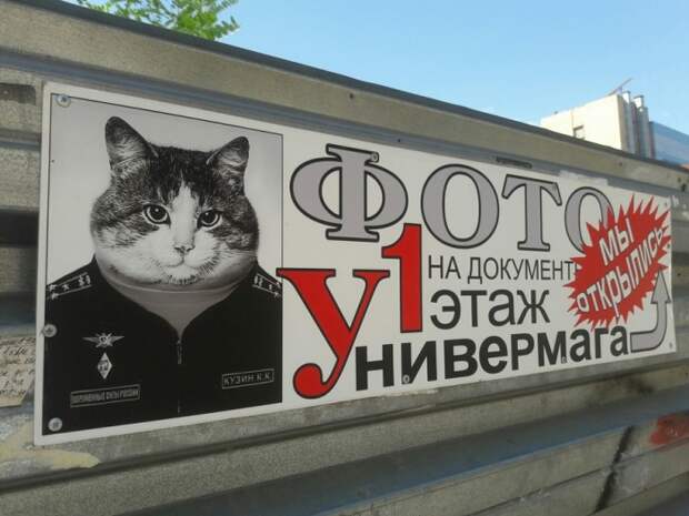 Фотоподборка
