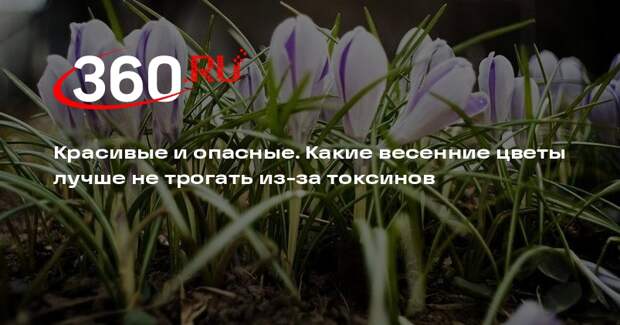 Билог Филин рассказал о смертельной опасности ландыша и токсичности первоцветов