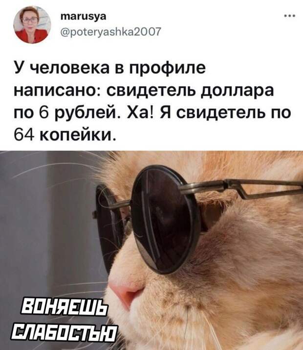 Смешные картинки 28 сентября 2021 года