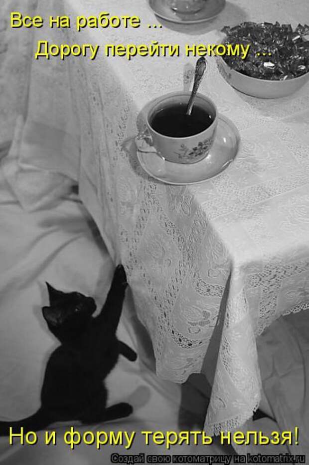 Котоматрицы(картинки с надписями)