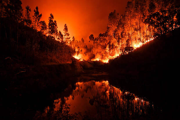Лесные пожары в центре Португалии