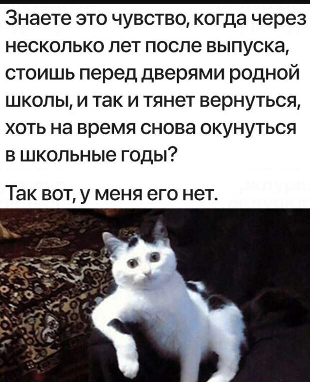 Смешные картинки и мемы (23)