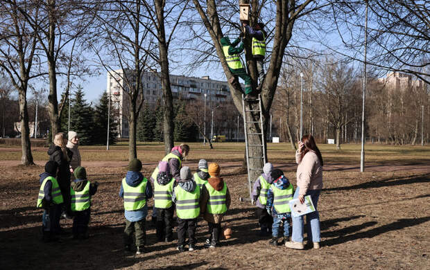 В парках и скверах Петербурга обустраивают «птичьи кафе»