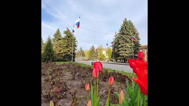 Утро в Енакиево https://t.me/webmoney_dn/318973Video: Клип