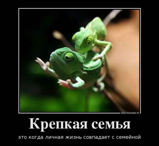 Демотиваторы. Подборка chert-poberi-chert-poberi-10240805052020-7 картинка chert-poberi-10240805052020-7