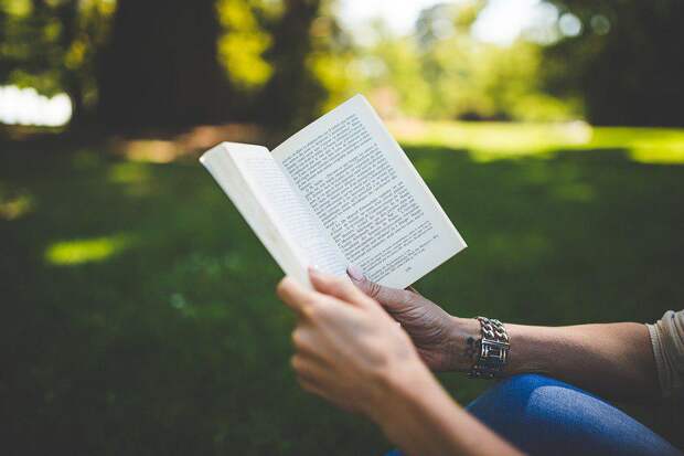 книга /Фото: pixabay.com