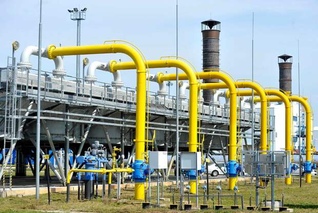 Фото: www.globallookpress.com