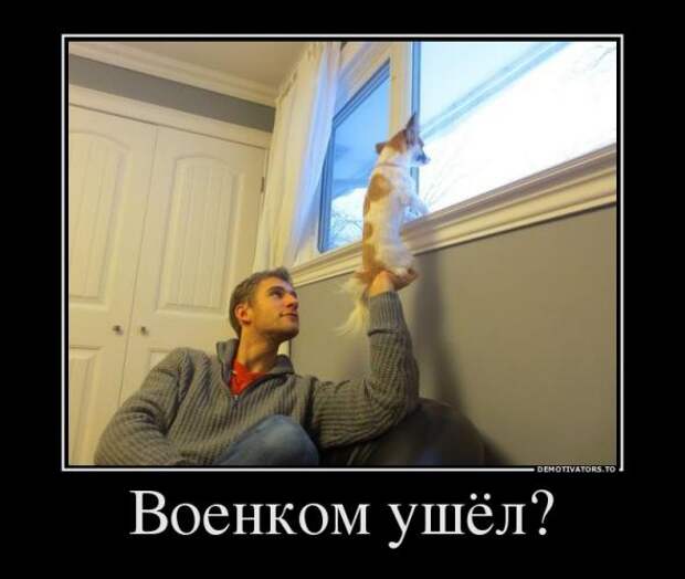 Немного новых демотиваторов