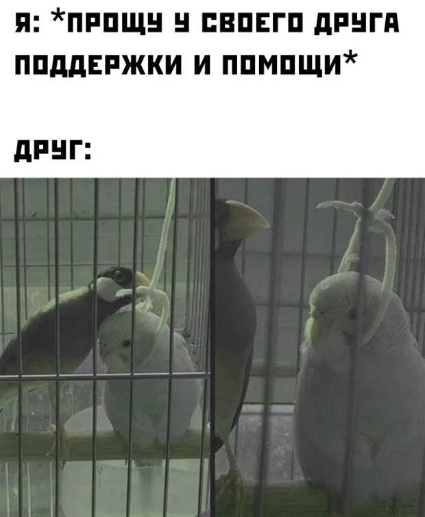 Смешные картинки 7 января 2022 года