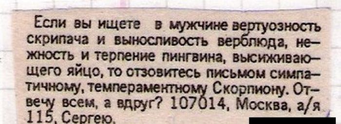 В поисках второй половинки (22 фото)