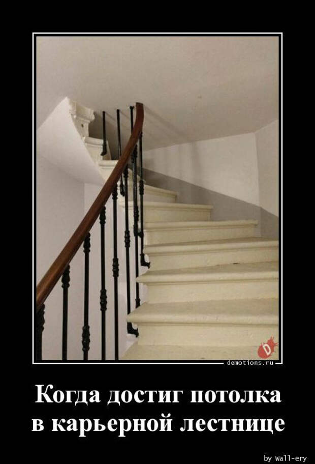 Демотиваторов пост: «Виды противоугонных систем…» (15 фото)