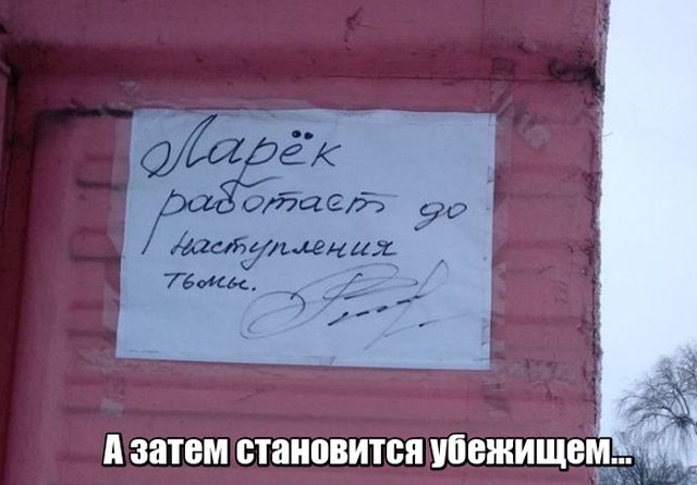 Подборка картинок. Дневной выпуск (50 фото)