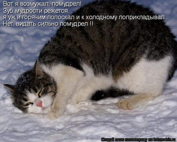 Мысли вслух :)