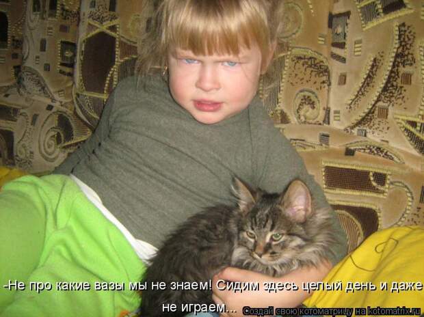 Котоматрица - -Не про какие вазы мы не знаем! Сидим здесь целый день и даже не игра