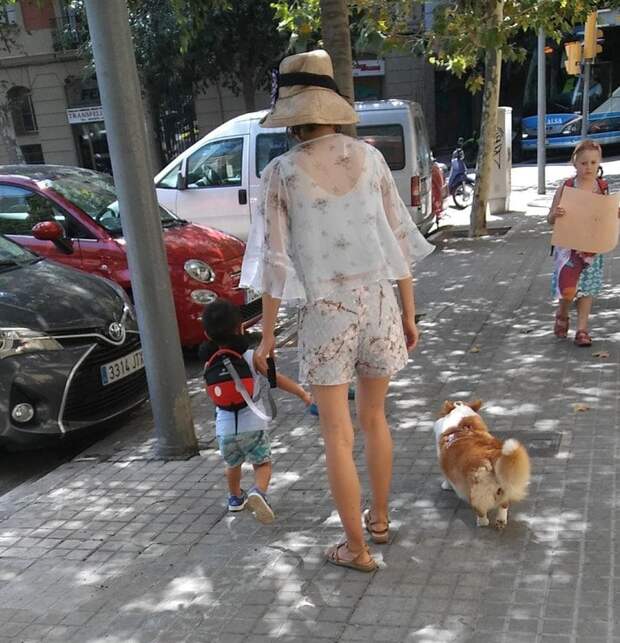 3. Ребенок на поводке, а собачка свободно прогуливается интересное, интернет, люди, мир, снимок, фото, явление