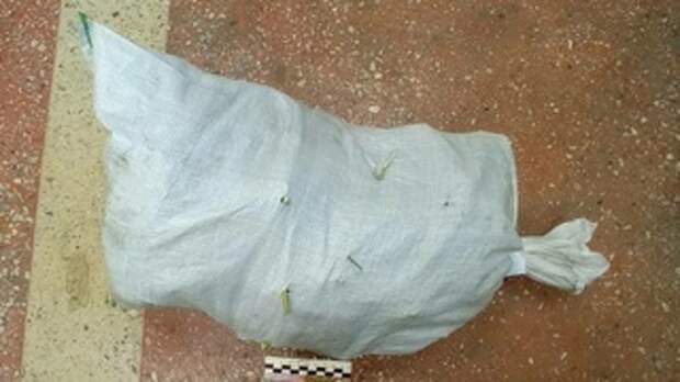 Мешок марихуаны / Фото: t.me/policebiysk