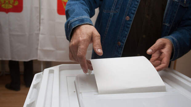 Явка на референдуме в ЛНР составила 21,97%