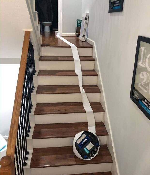 "Самоубийство Roomba. Он как-то умудрился замотаться в туалетную бумагу, перекрыв свои датчики, и храбро бросился вниз"