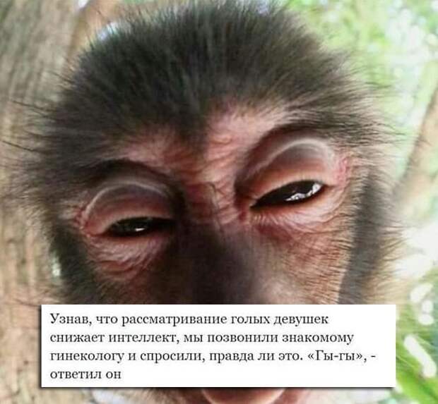 Вырежи и сохрани