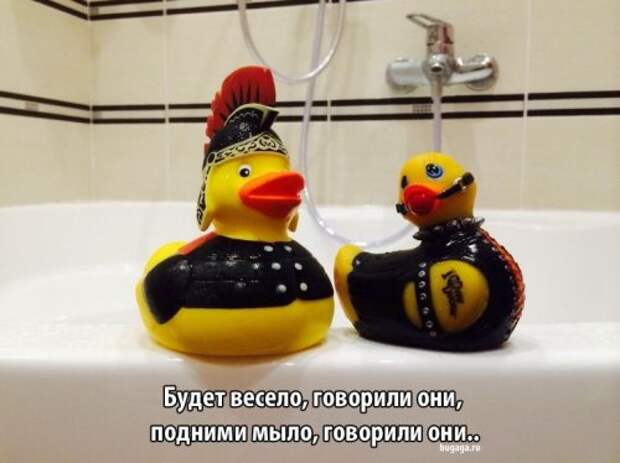 Свежие приколычи (43 шт)
