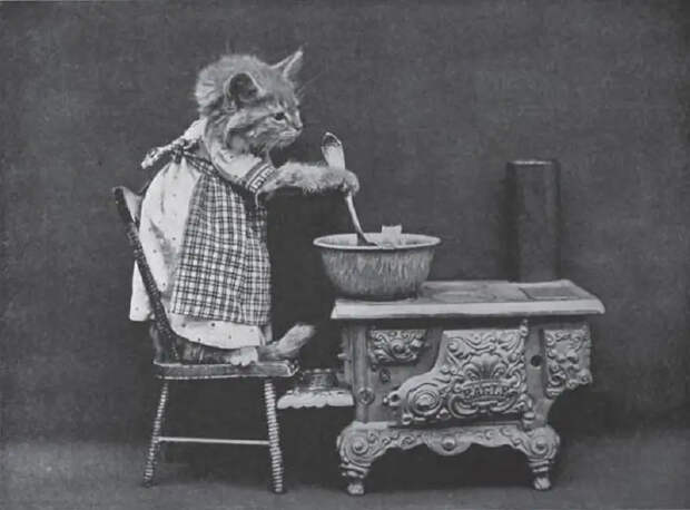 LOLCats11