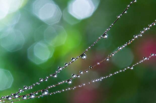 Miki Asai.