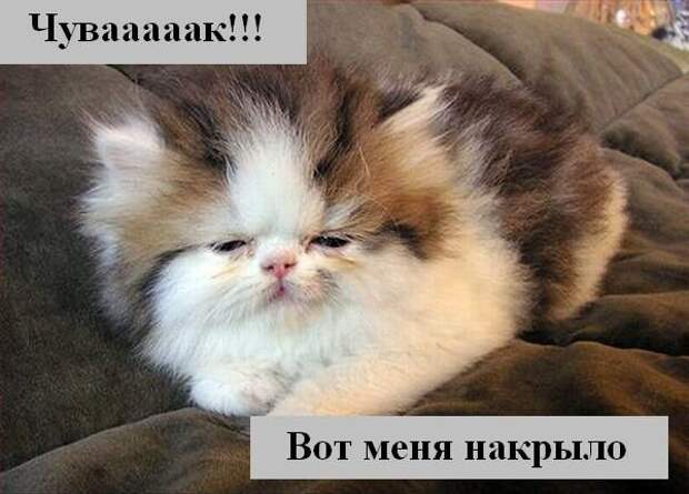 Мысли :) (50мыслей)