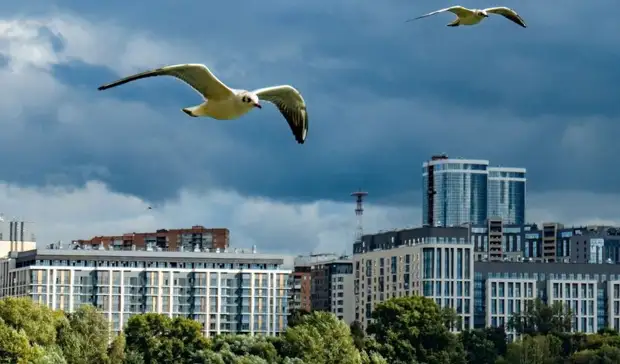 На федеральном уровне оценили благоустройство двух городов Удмуртии