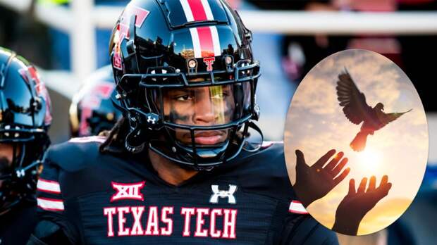 Texas Tech Football Tyler Owens Catch Bird Pigeon