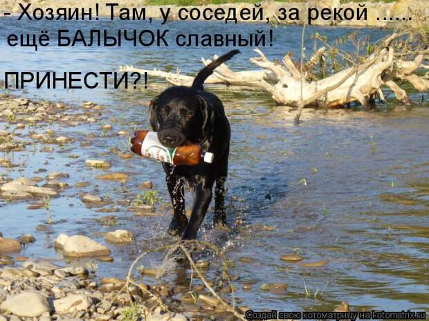 Котоматрица - - Хозяин! Там, у соседей, за рекой ...... ещё БАЛЫЧОК славный! ПРИНЕСТ