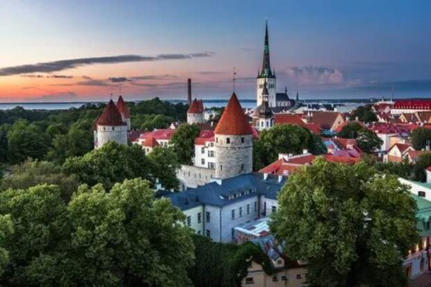 estonia, эстония, tallin, таллин, вечер, деревья, дома.
