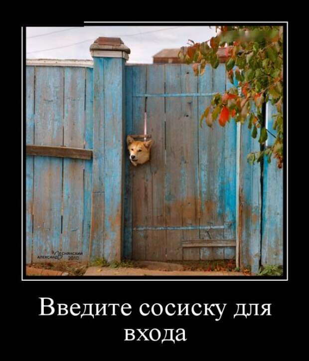 Демотиваторы (30 фото)