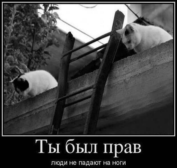 Всё в кучу 22