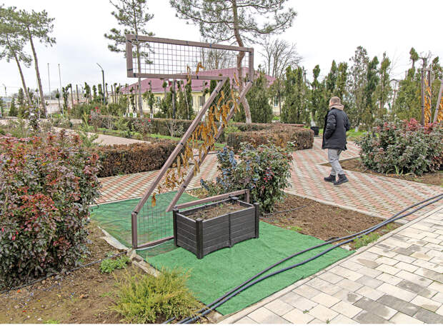 Подарок под ёлку: чему радуются и на что жалуются жители Новопавловки Красноперекопского района