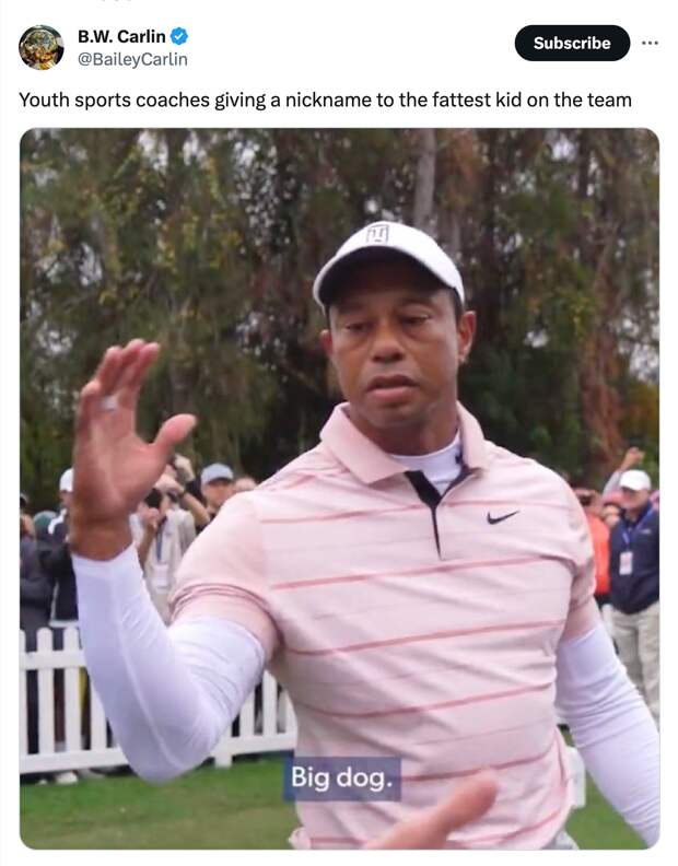 best of the Tiger Woods Big Dog meme