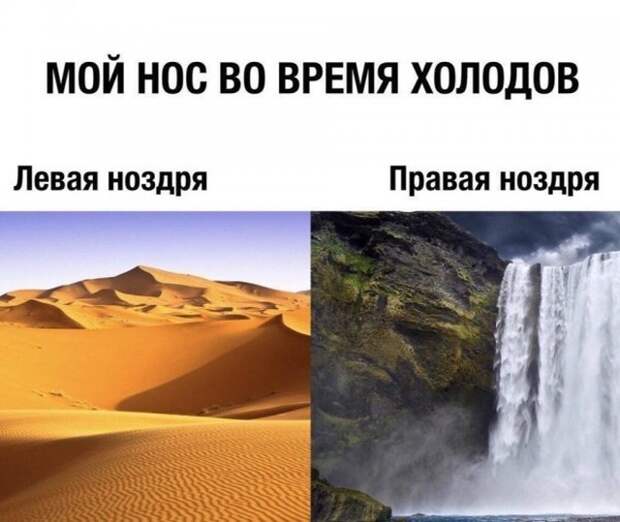 Шутки и и забавные картинки из социальных сетей (33 фото)