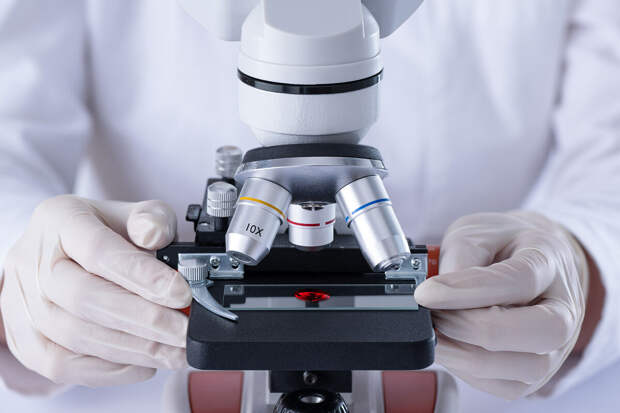 "Известия": анализ ДНК позволит возродить исчезающих русских выхухолей