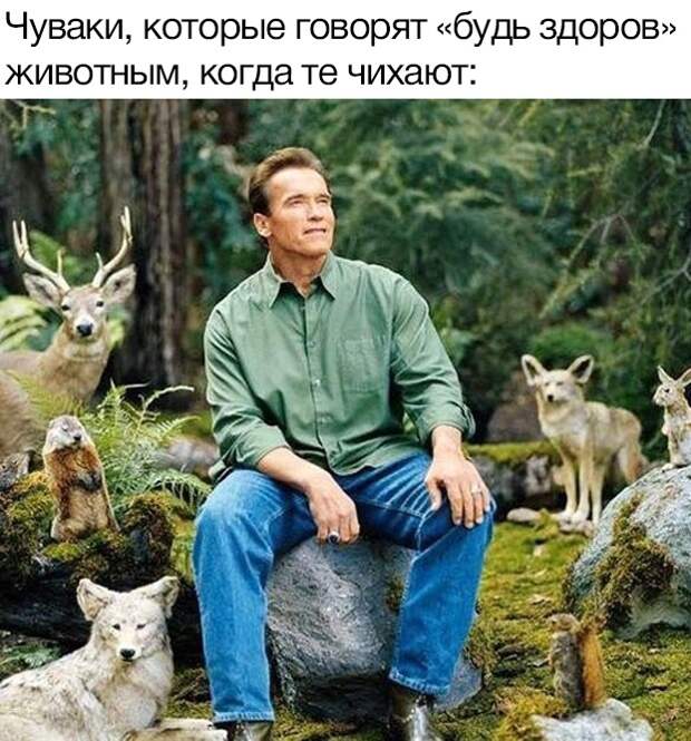 www.vsyako.net
