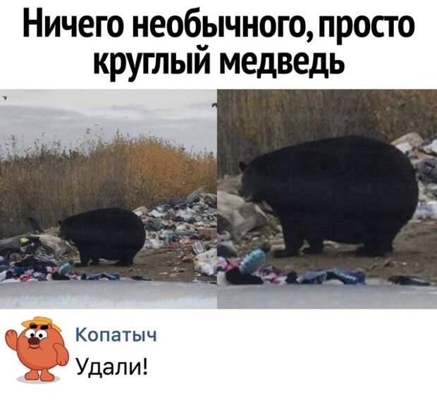 Смешные картинки (20 фото)
