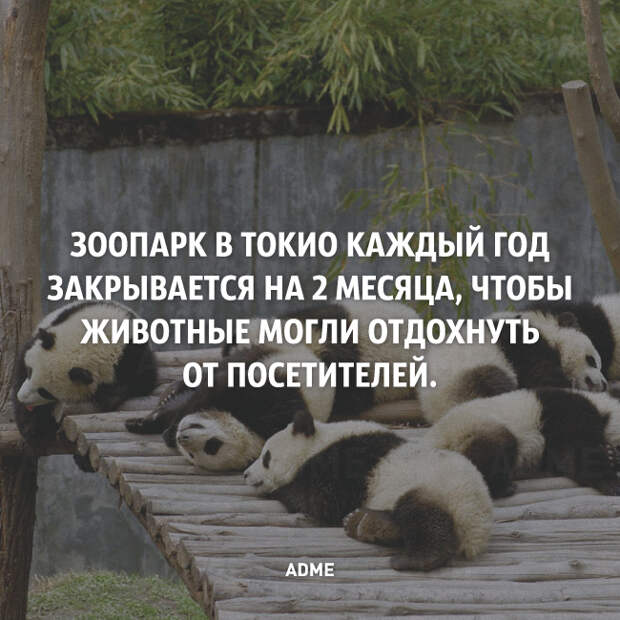 25 коротких фактов о нашем мире