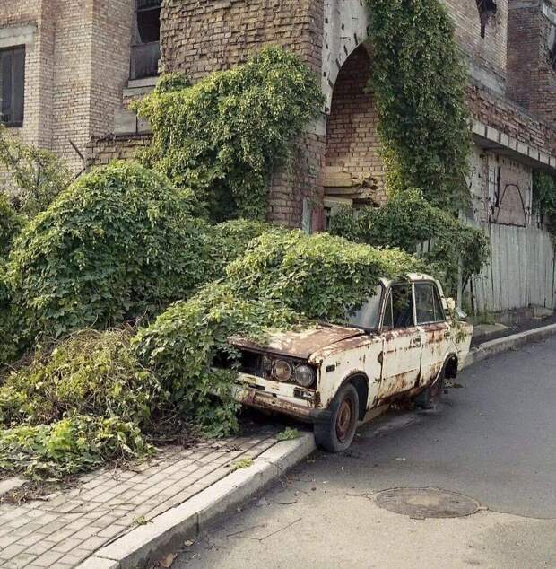 Природа всегда забирает свое