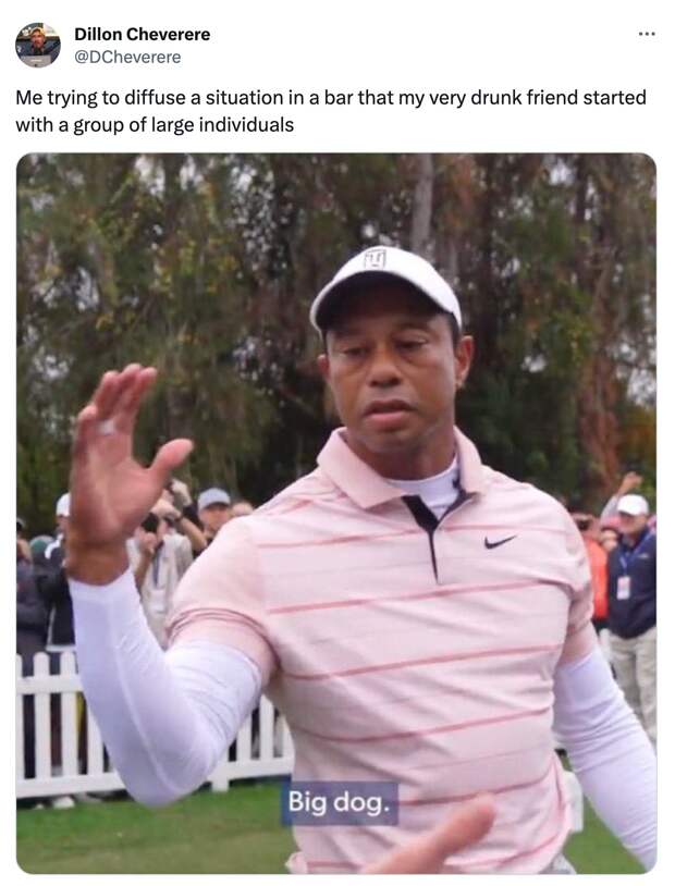 best of the Tiger Woods Big Dog meme