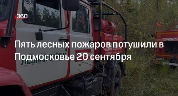 Пять лесных пожаров потушили в Подмосковье 20 сентября