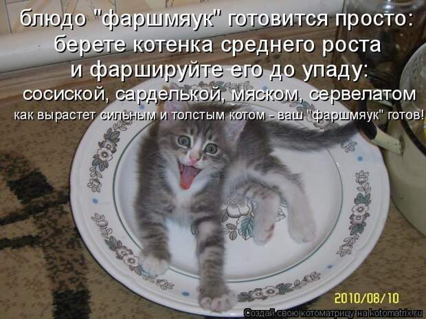 Котоматрица - блюдо 
