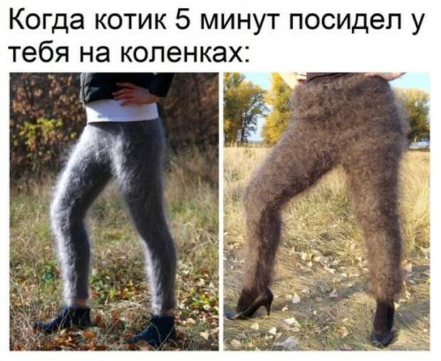 Новые фотомемы (24 шт)
